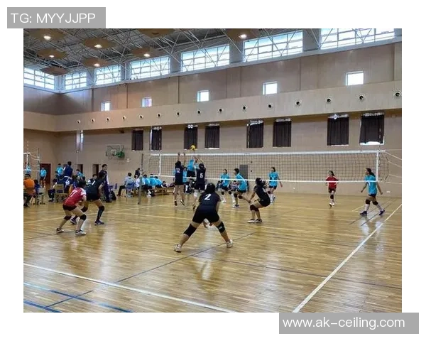 上海排球队的蜕变与成长：一段不平凡的排球纪实之旅